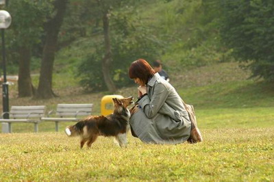 蓉城漫记